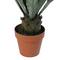 31.5" Potted Artificial Green Agave Americana Succulent